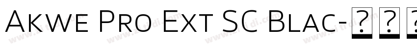Akwe Pro Ext SC Blac字体转换
